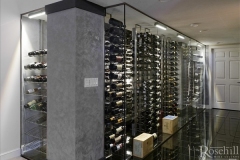 Modern Residential Glass Wine Cellar