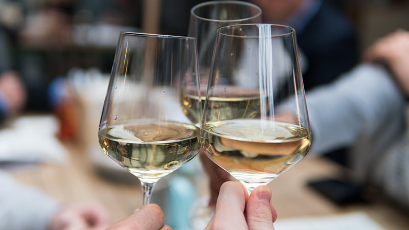 white wine glasses at wine cellar tasting