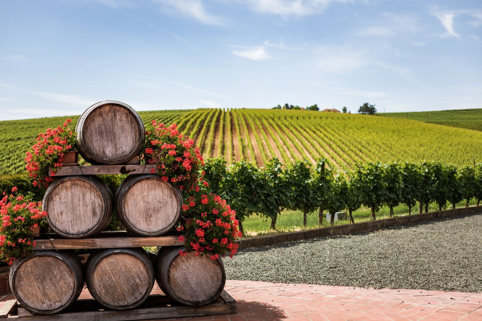 Wine barrels stored in front of an open green vineyard.