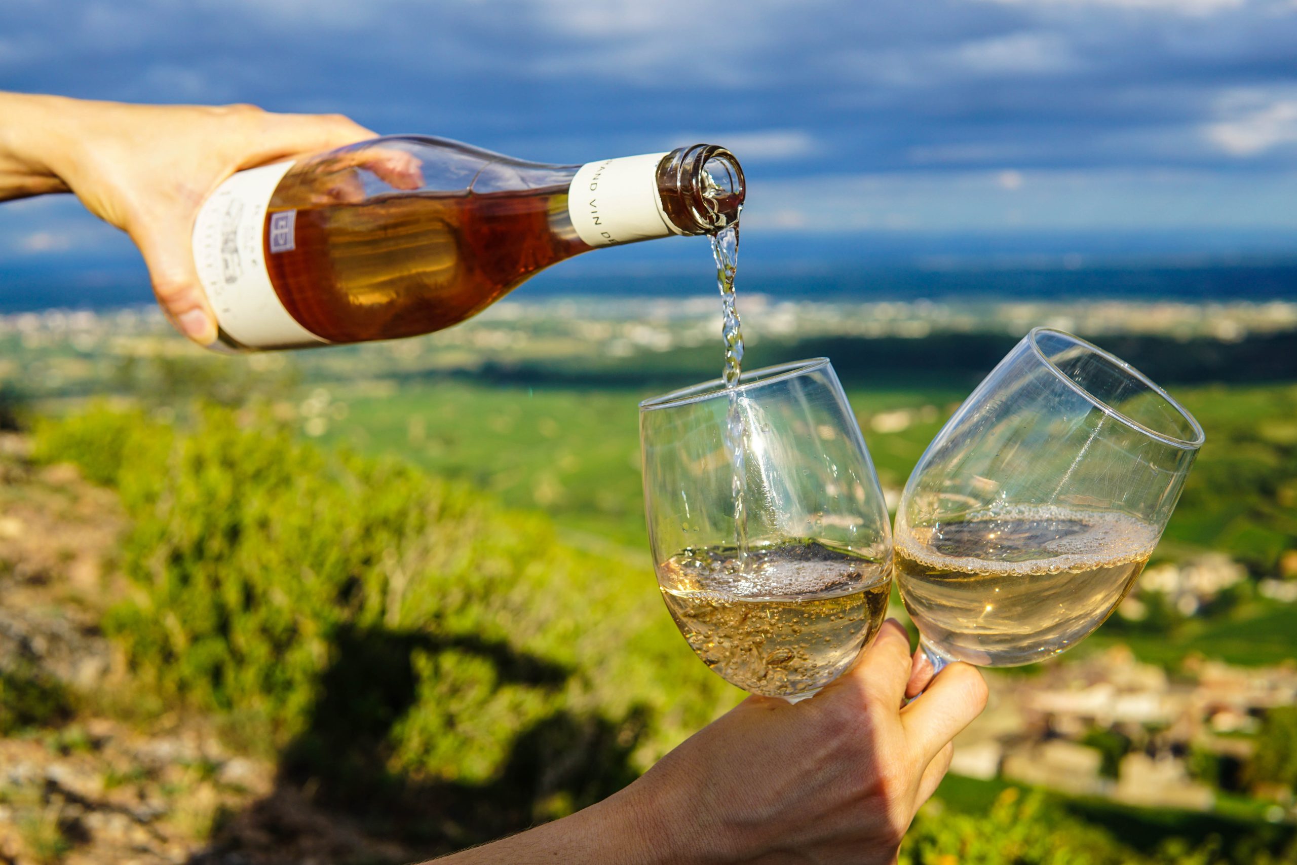 Bottle of white wine poured into two white wine glasses in a green scenic view overlooking the ocean.